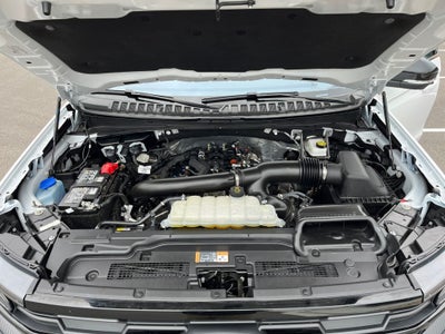 2025 Ford Expedition Active MAX
