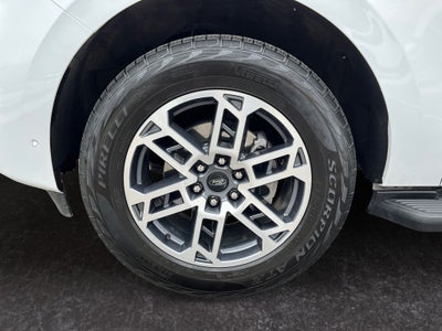 2025 Ford Expedition Active MAX