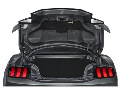 2025 Ford Mustang GT Premium Fastback