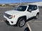 2019 Jeep Renegade Limited 4x4